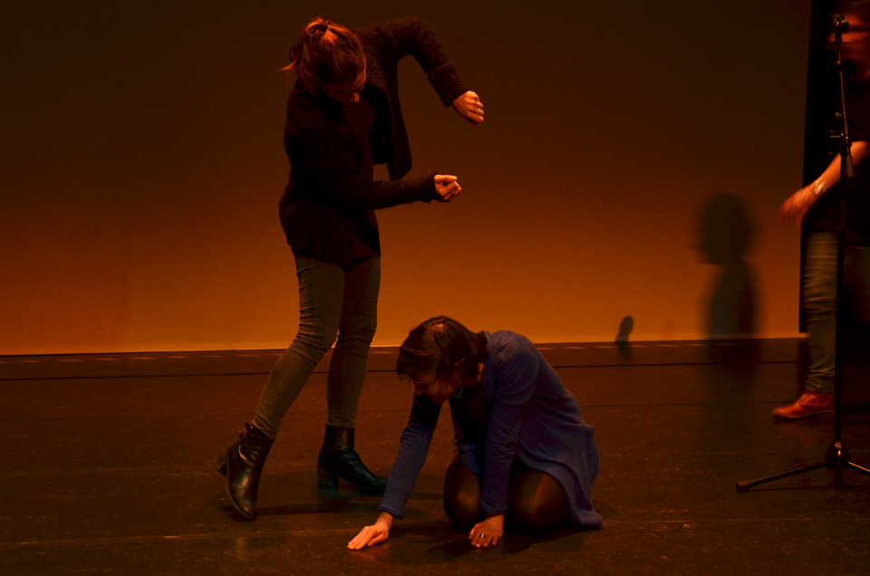 Animation pédagogique 1er degré