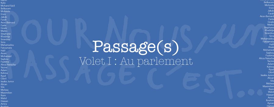 <strong>Passage(s) – Volet 1 : Au parlement</strong>