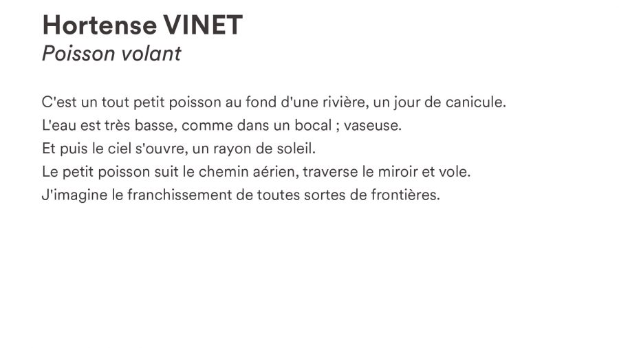Hortense VINET · <i>Poisson volant</i>