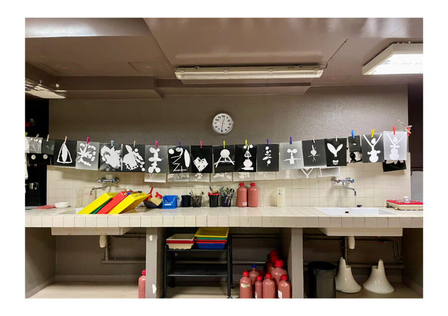 « Cabinet de curiosité » • Lycée Paul Lapie