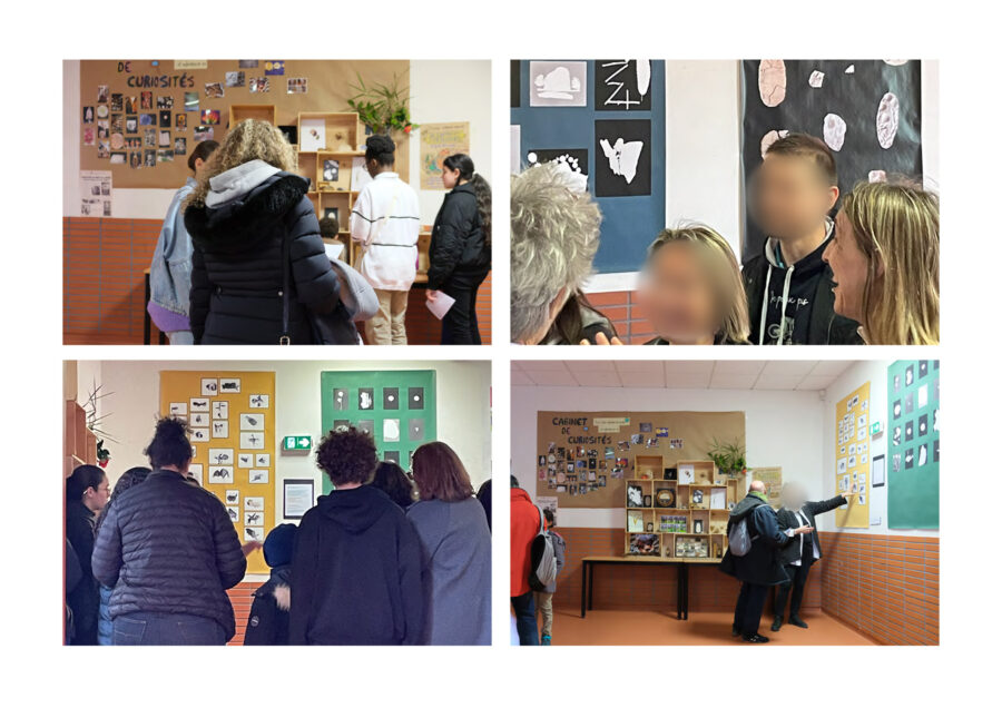 « Cabinet de curiosité » • Lycée Paul Lapie