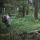 « SERF BLAN » • Carte blanche #10 • Florent Darmon