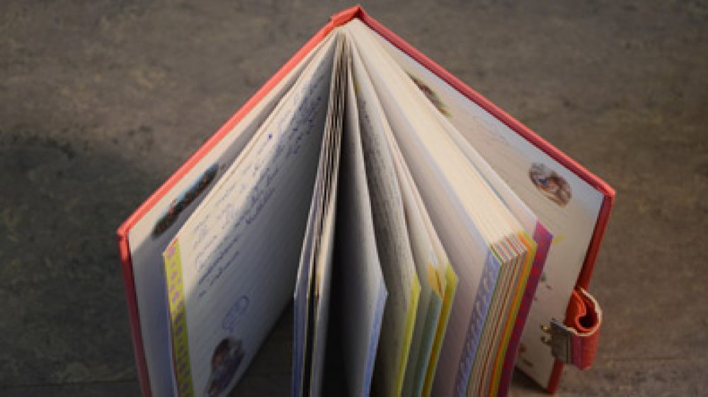 vignette_photo_voltaire