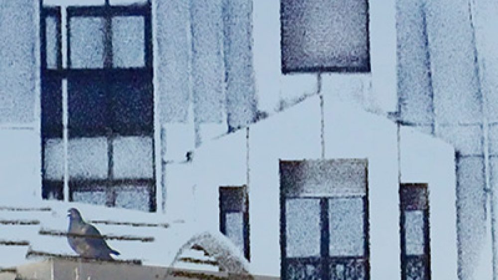 galerie_oct_photo_lycee_galilee_schneider_vignette