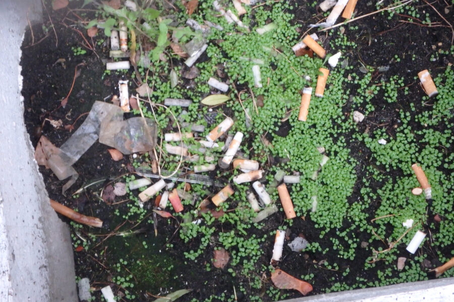 La ville est vivante – 1. La pollution : collection/inventaire de déchets