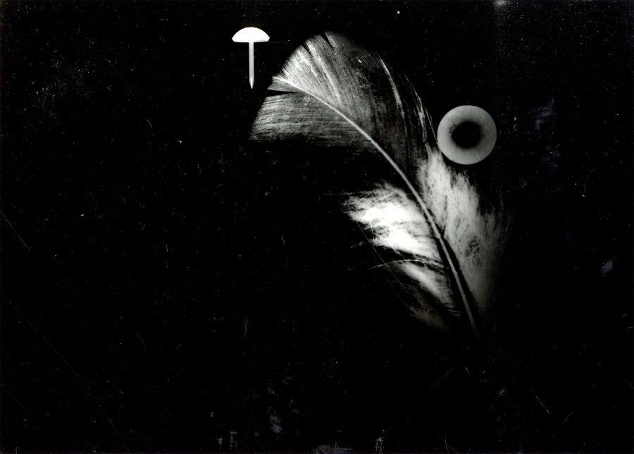 Photographier, dire, écrire