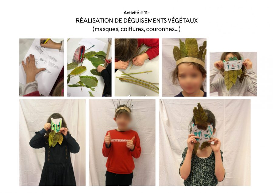 Photographie et végétation