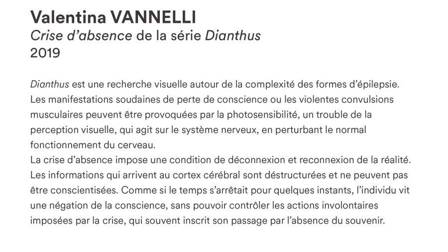 Valentina VANELLI · <i>Crise d’absence</i> · 2019