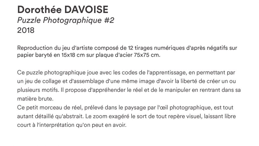 Dorothée DAVOISE · <i>Puzzle Photographique #2</i> · 2018