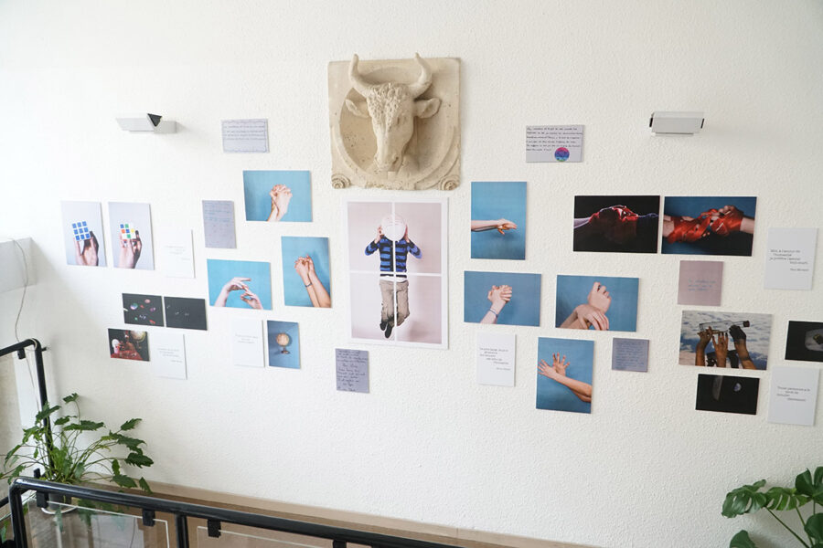 Coexistence – Stage photo hiver 12/15 ans 2021