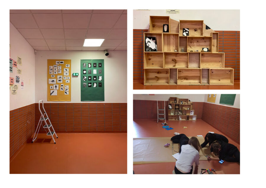« Cabinet de curiosité » • Lycée Paul Lapie