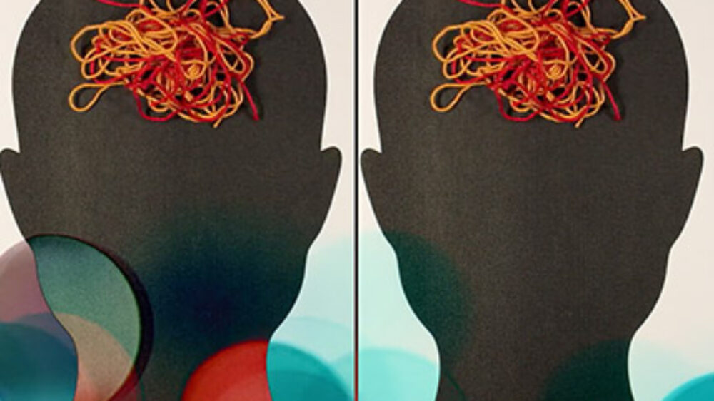 des-cine_la_vie_430x340px